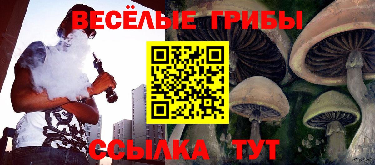 Псилоцибиновые грибы Psilocybine cubensis  Вход с VPN  Шебекино 