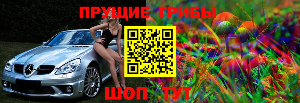 Галлюциногенные грибы прущие грибы Шебекино